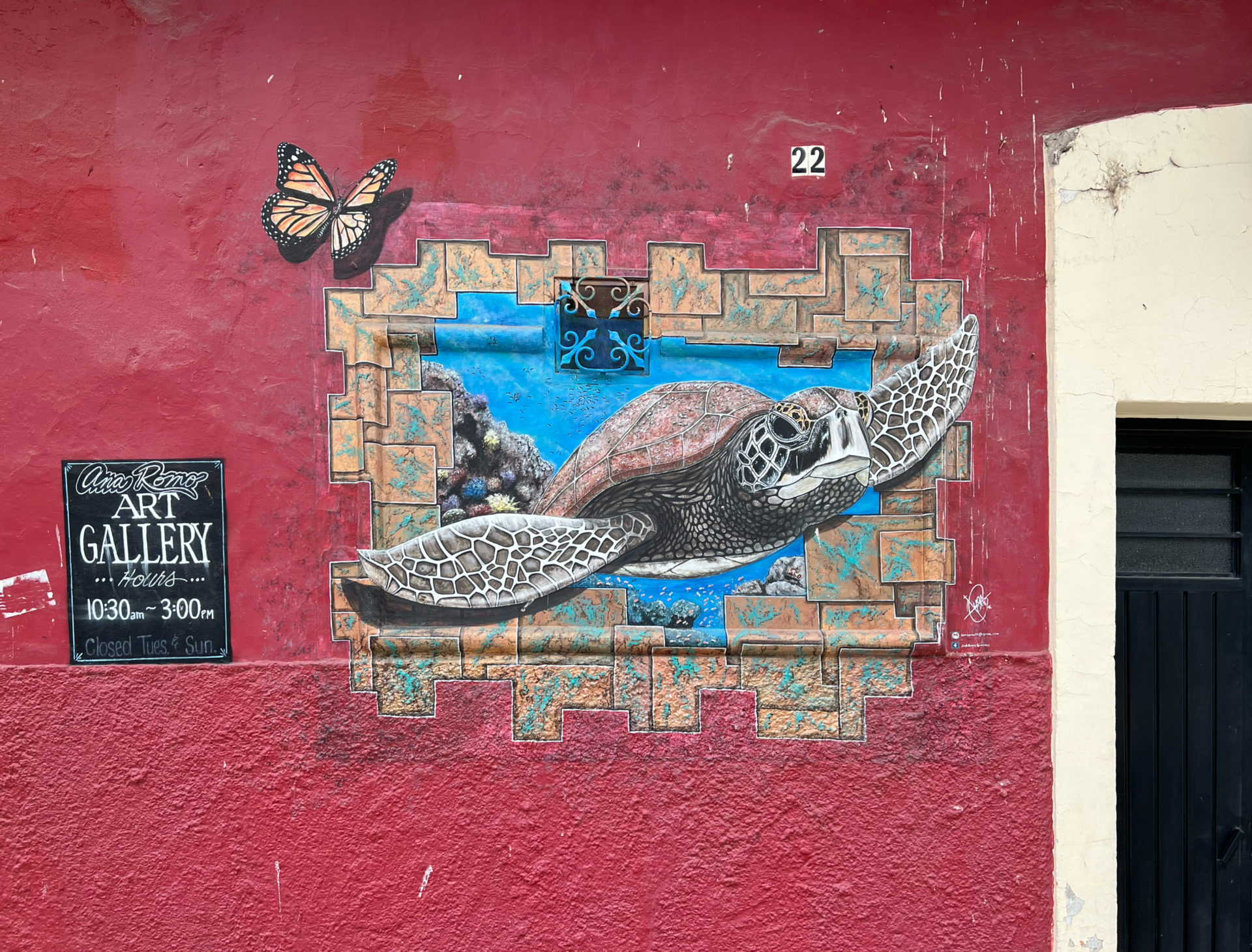 Sea Turtle – Ana Romo Art Gallery – Ocampo - Murals of Ajijic